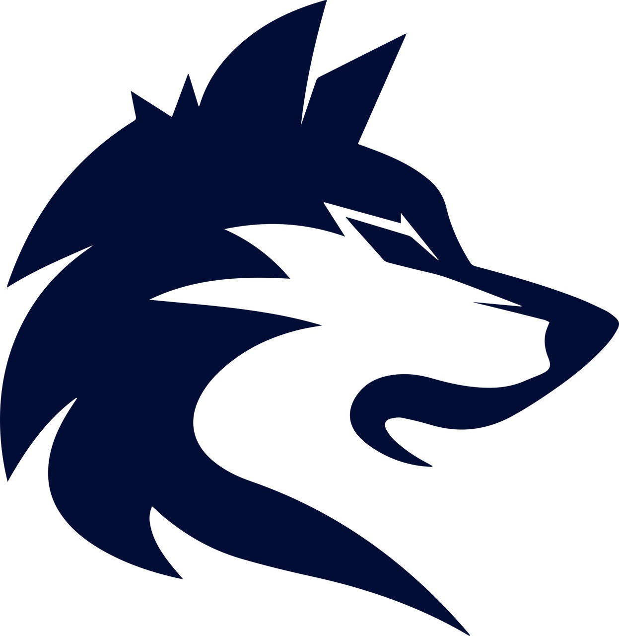 Custom Printed T-Shirts